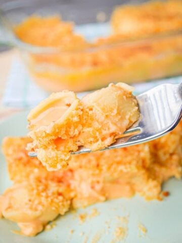 If you have a saucy, cheesy craving try these Baked Shells and Cheese with a crispy panko topping. You won't regret it!