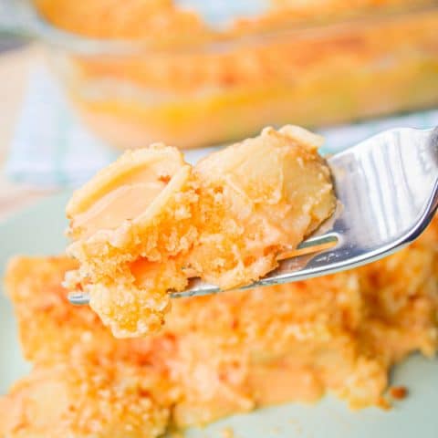 If you have a saucy, cheesy craving try these Baked Shells and Cheese with a crispy panko topping. You won't regret it!