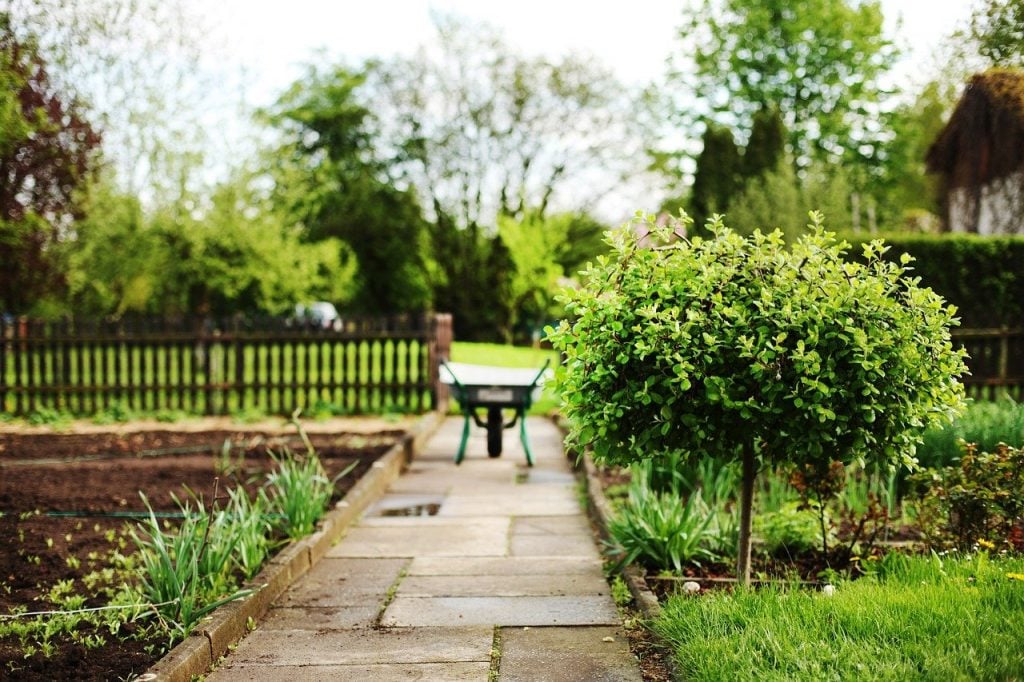 A garden with a stone path; a wheelbarrow in the background.