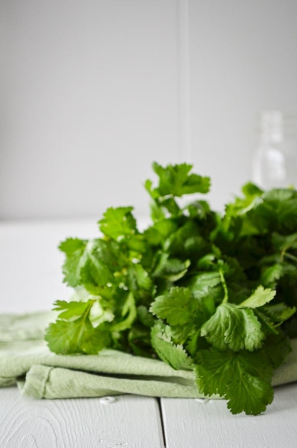 A bundle of cilantro, resting on a cloth napkin and white background.