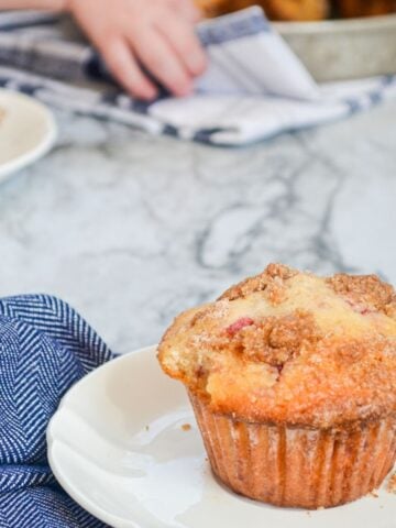 A fluffy muffin, with a cinnamon streusel topping.