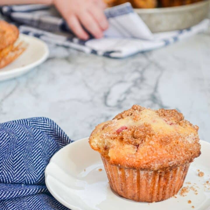 A fluffy muffin, with a cinnamon streusel topping.