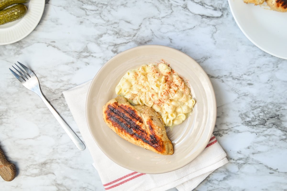 Grilled chicken on a plate with macaroni salad. 