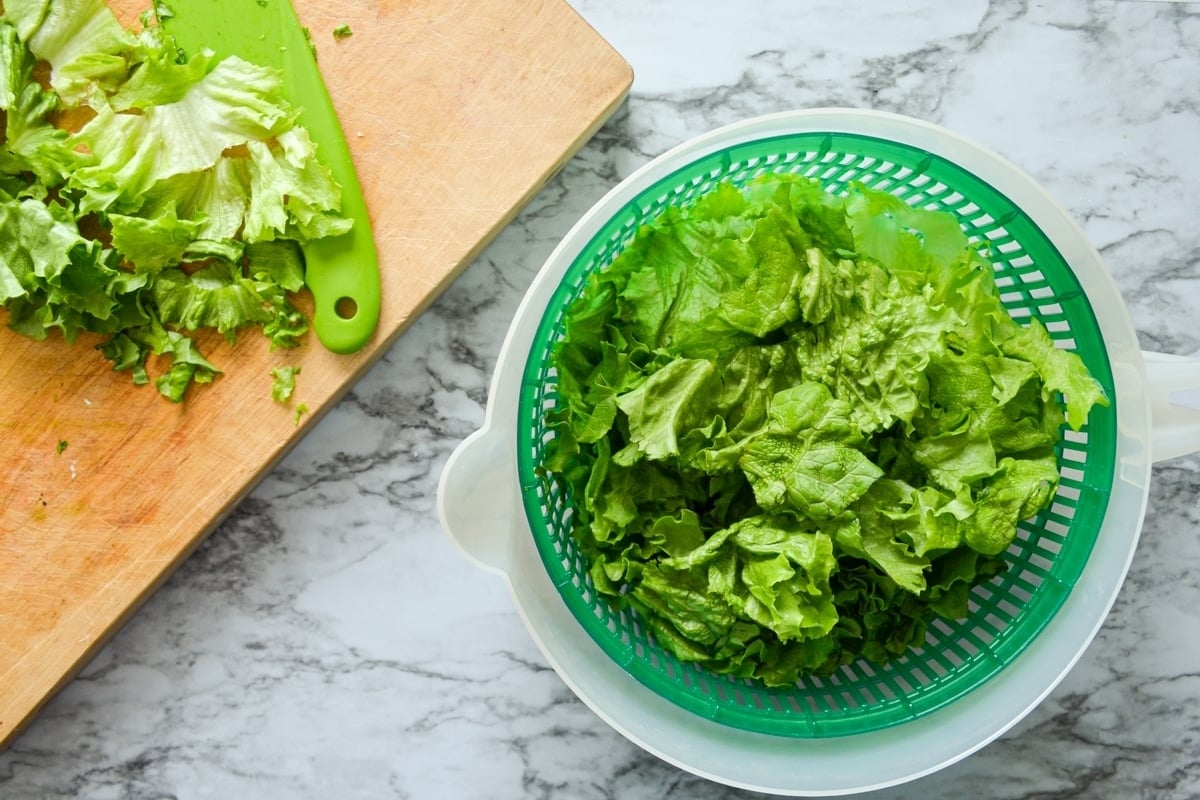 Green leaf lettuce in a salad spinner.