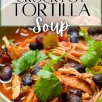 crock pot chicken taco soup