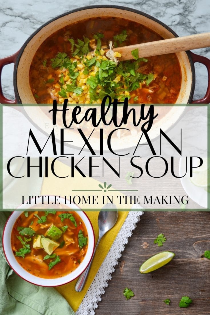 Healthy Mexican Chicken Soup - Little Home in the Making