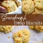 Sourdough biscuits in a large basket, as well as on a sheet pan.