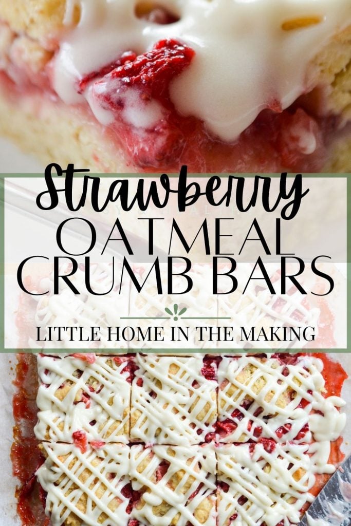 Strawberry Oatmeal Crumb Bars