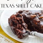A forkful of Texas sheet cake.