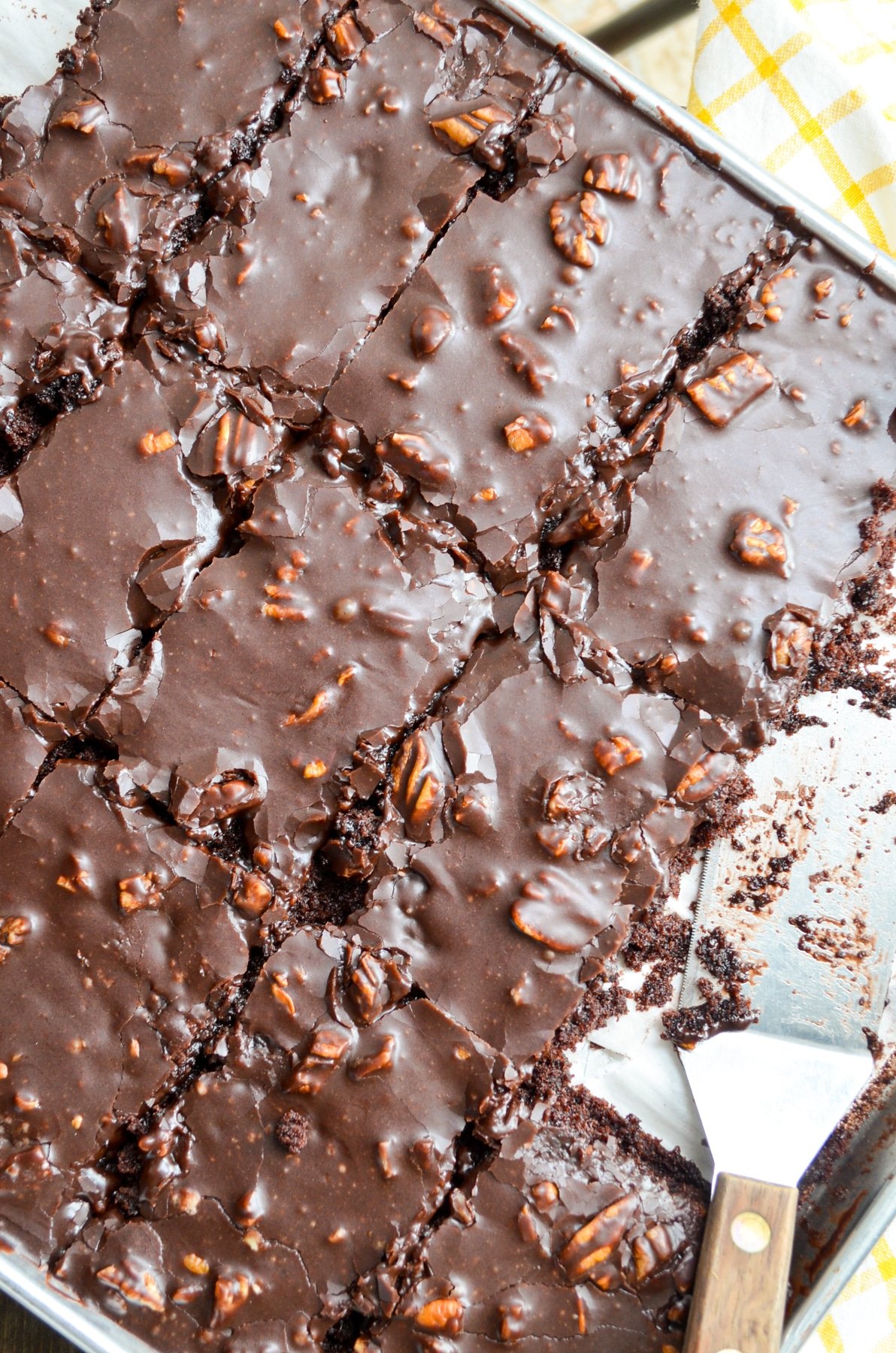 A sheet pan of sourdough chocolate cake.