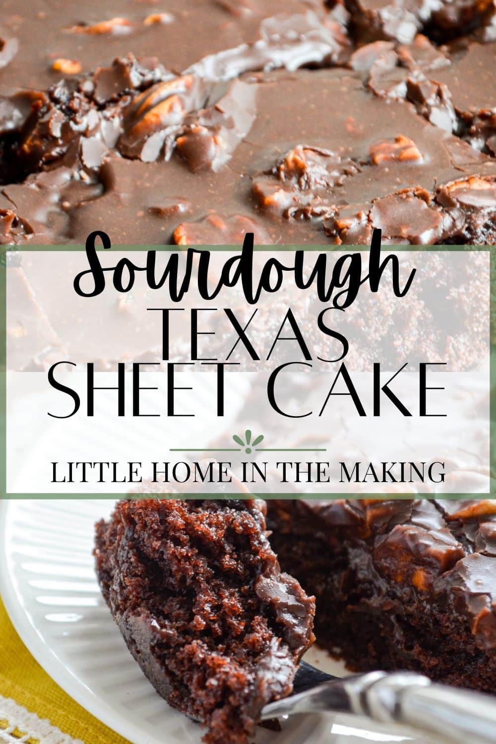 Sourdough Texas Sheet Cake
