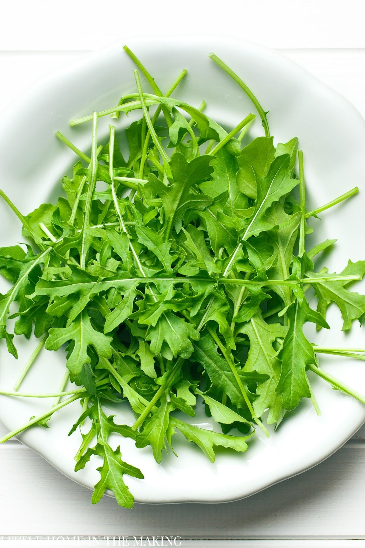 A plate of arugula leaves.