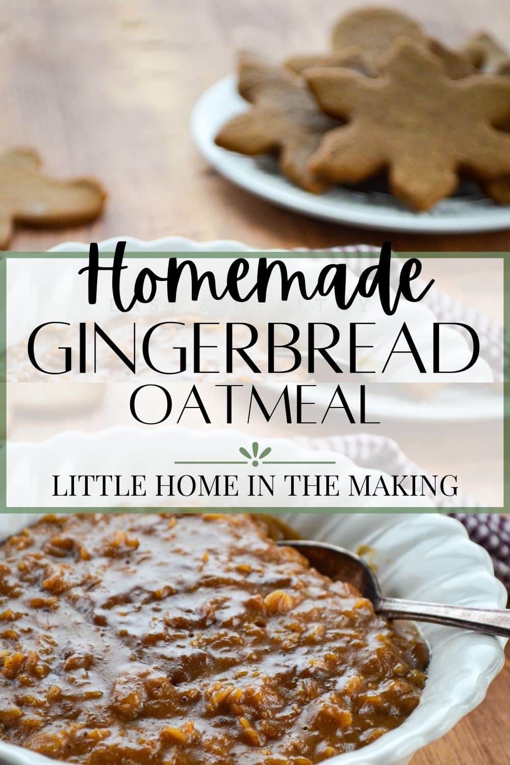 A bowl of gingerbread oatmeal.