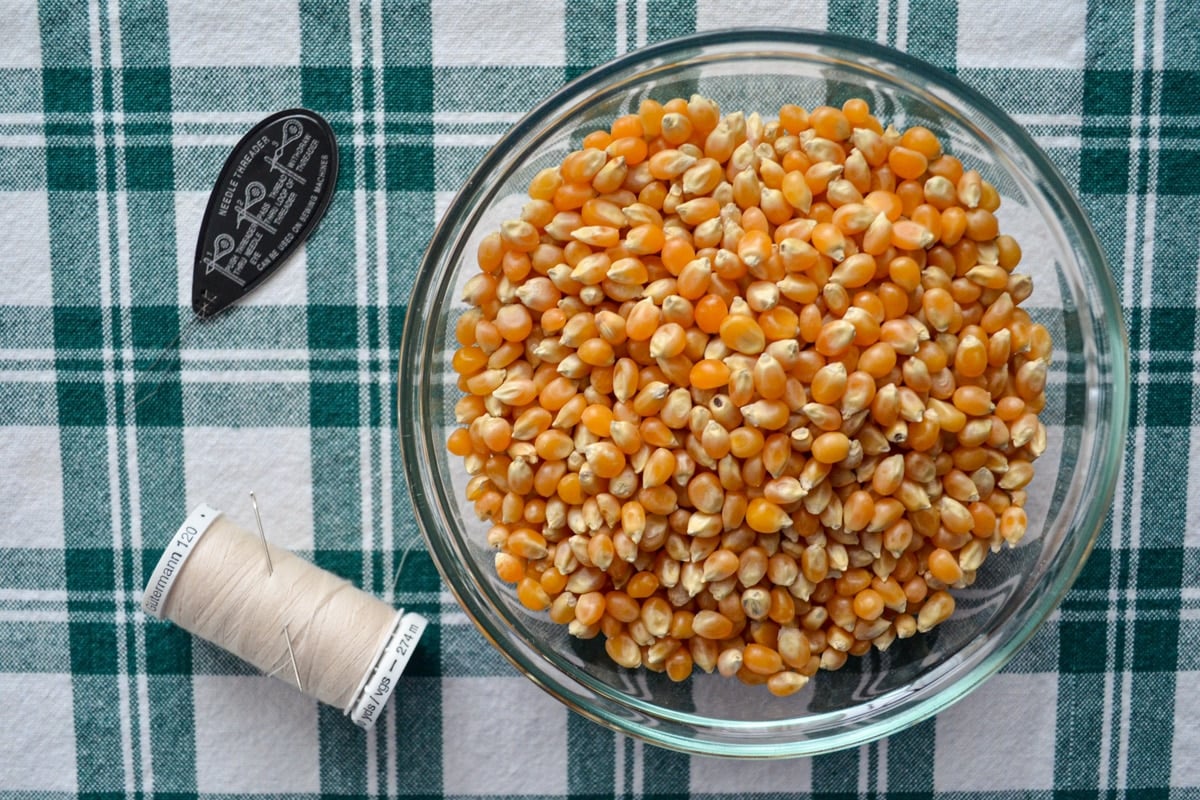 A bowl of popcorn kernels, a spool of thread, and a needle threader.