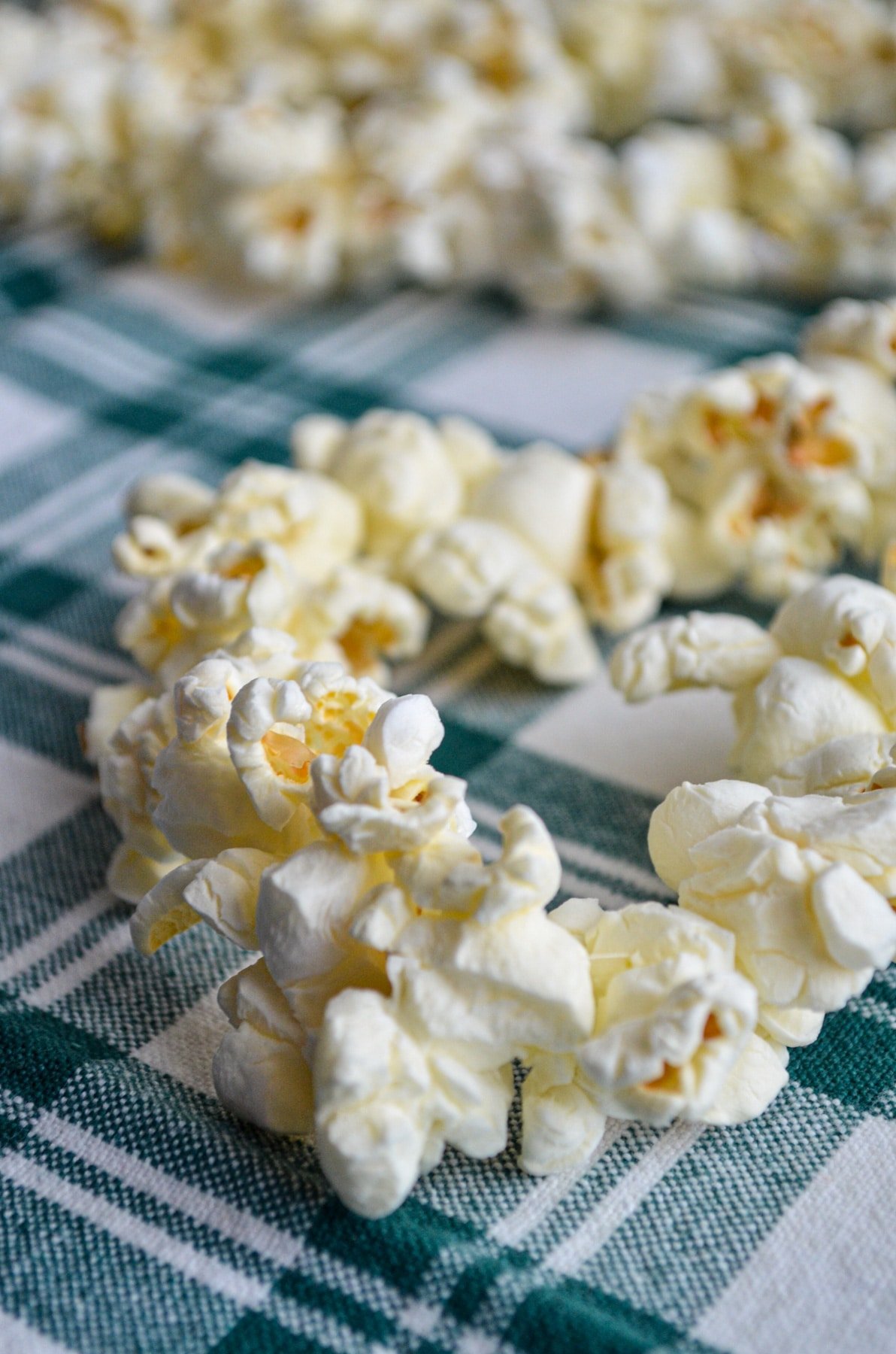 A close up of a strand of popcorn garland