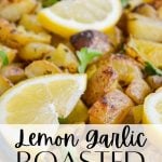 lemon garlic greek roasted potatoes