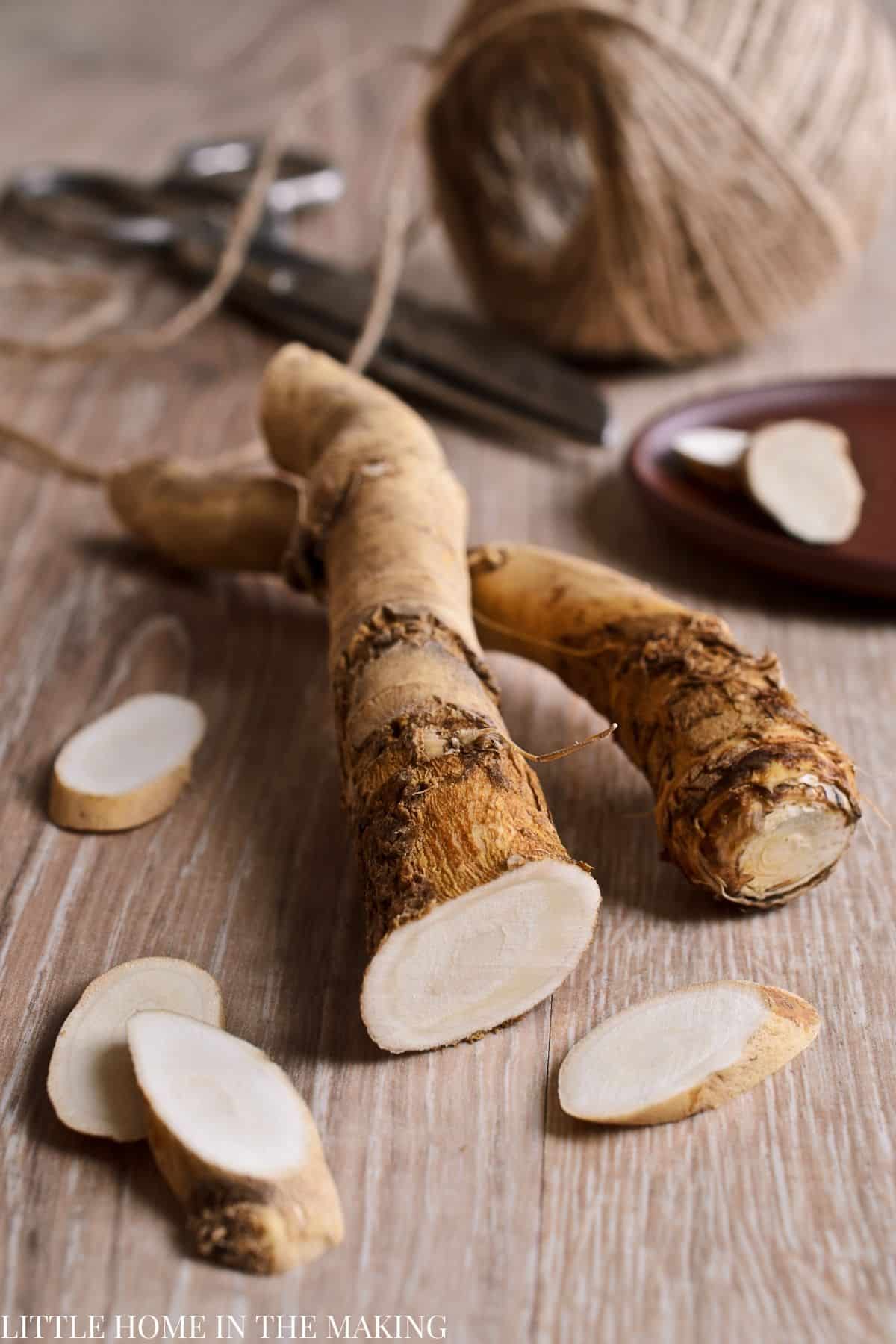 a horseradish root, with scissors and twine in the background.