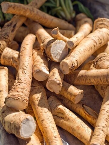 A pile of horseradish, cleaned with some of the greens attached.