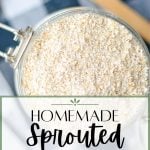 homemade sprouted oat flour