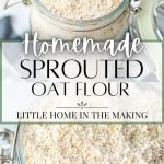 homemade sprouted oat flour