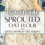 homemade sprouted oat flour