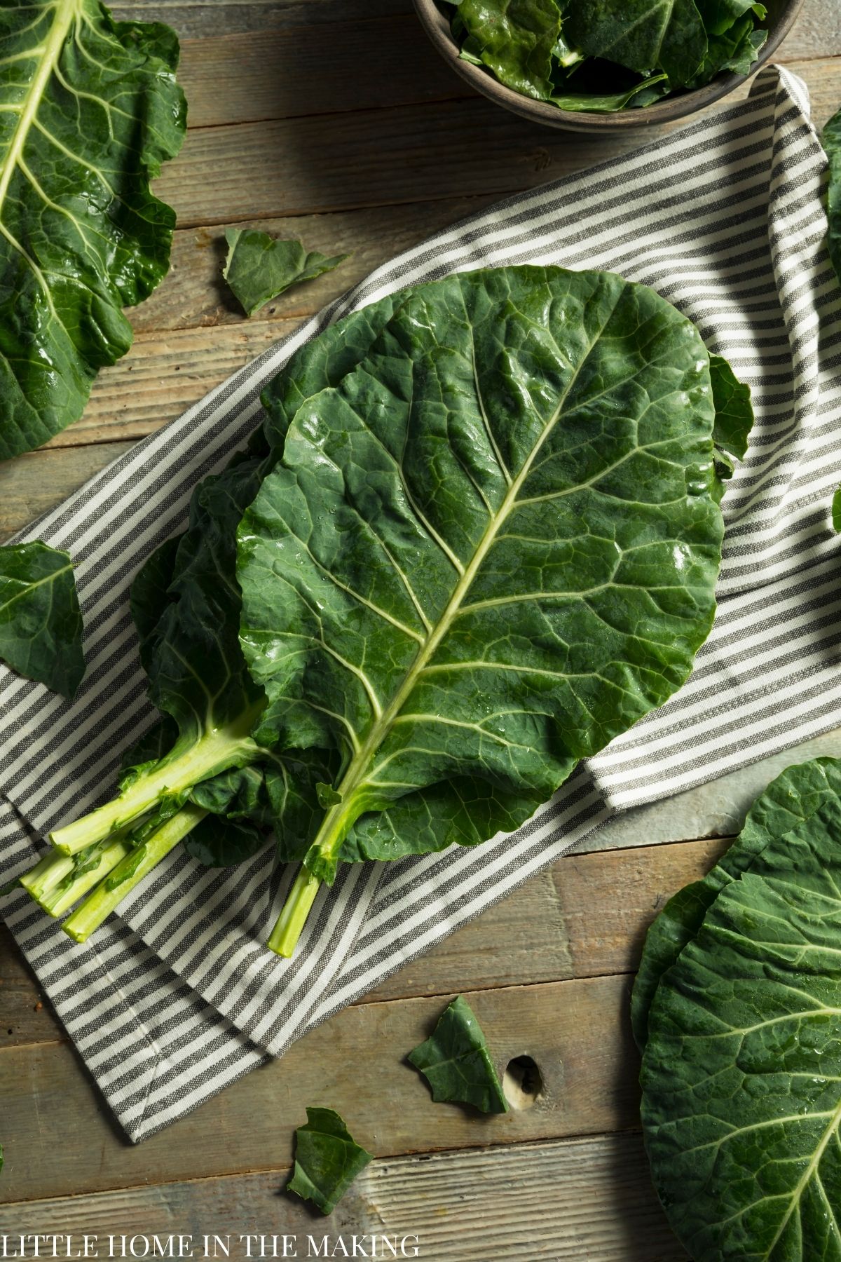 Collard greens laying out to dry