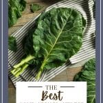 the best companion plants for collard greens