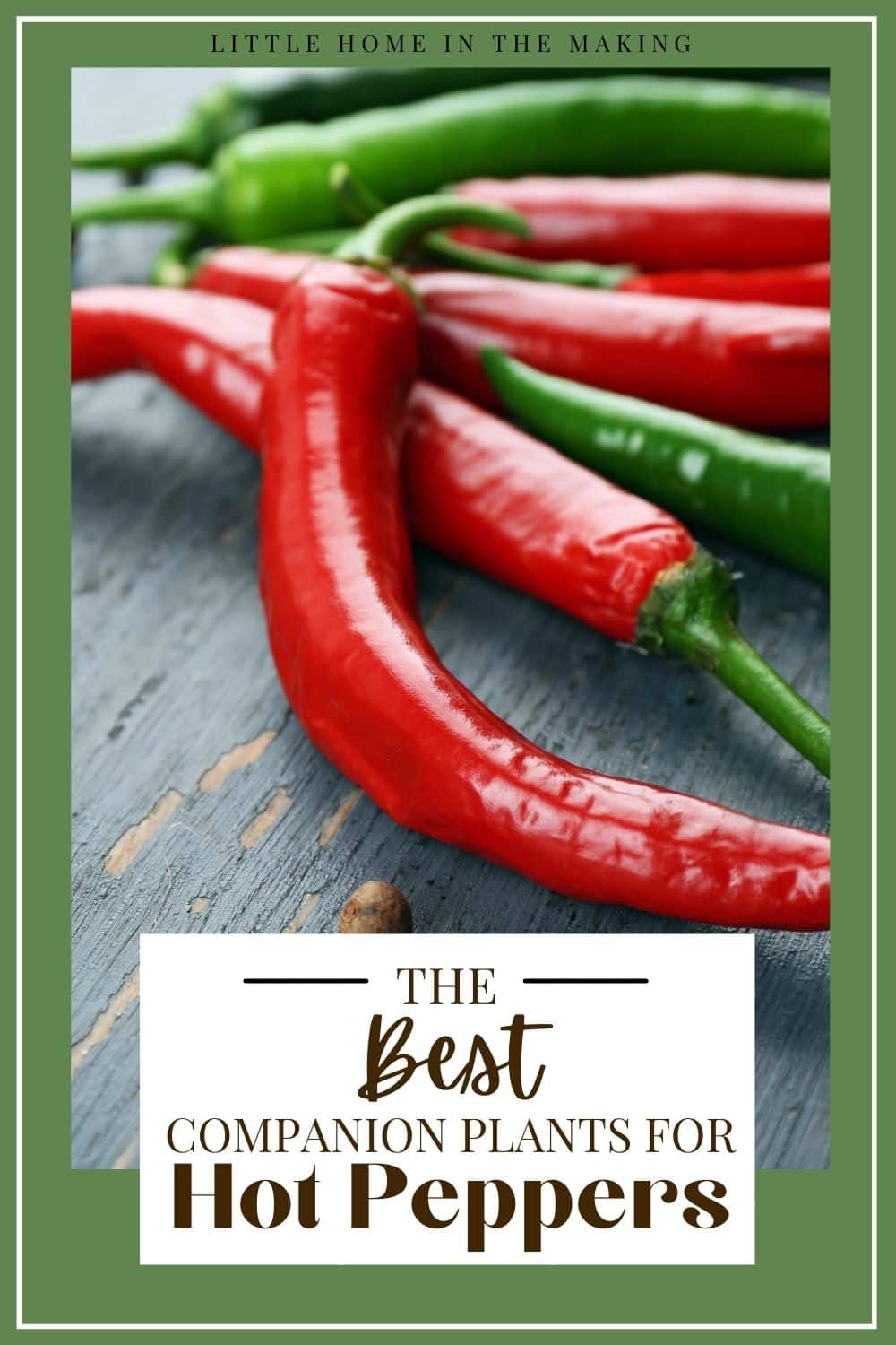The Best Hot Pepper Companion Plants Little Home in the Making