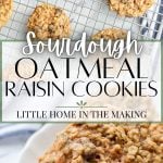 sourdough oatmeal raisin cookies