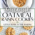 sourdough oatmeal raisin cookies