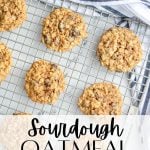 sourdough oatmeal raisin cookies