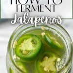 A jar of fresh jalapeno rings inside of a brine. The text reads: how to ferment jalapeno peppers.