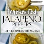 Pickled jalapeno rings in jars.