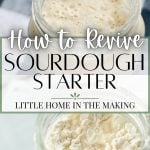 Jars of sourdough starter, with a text overlay that says: how to revive sourdough starter.