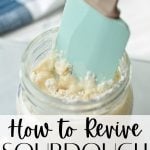 A jar with a silicone spatula stirring the contents. The text overlay reads: how to revive sourdough from the fridge.