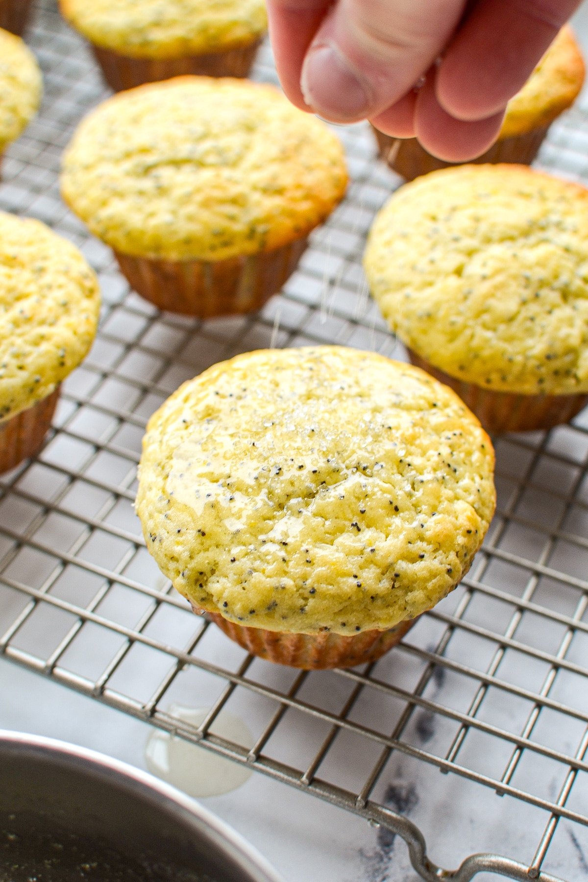 Sprinkling coarse sugar on top of a lemon poppy seed muffin.