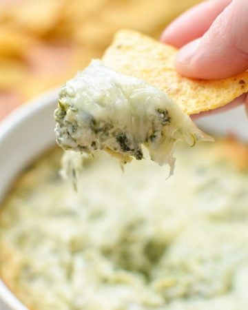 Someone taking a scoop of spinach artichoke dip on a corn tortilla chip.