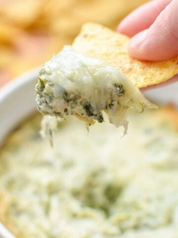 Someone taking a scoop of spinach artichoke dip on a corn tortilla chip.