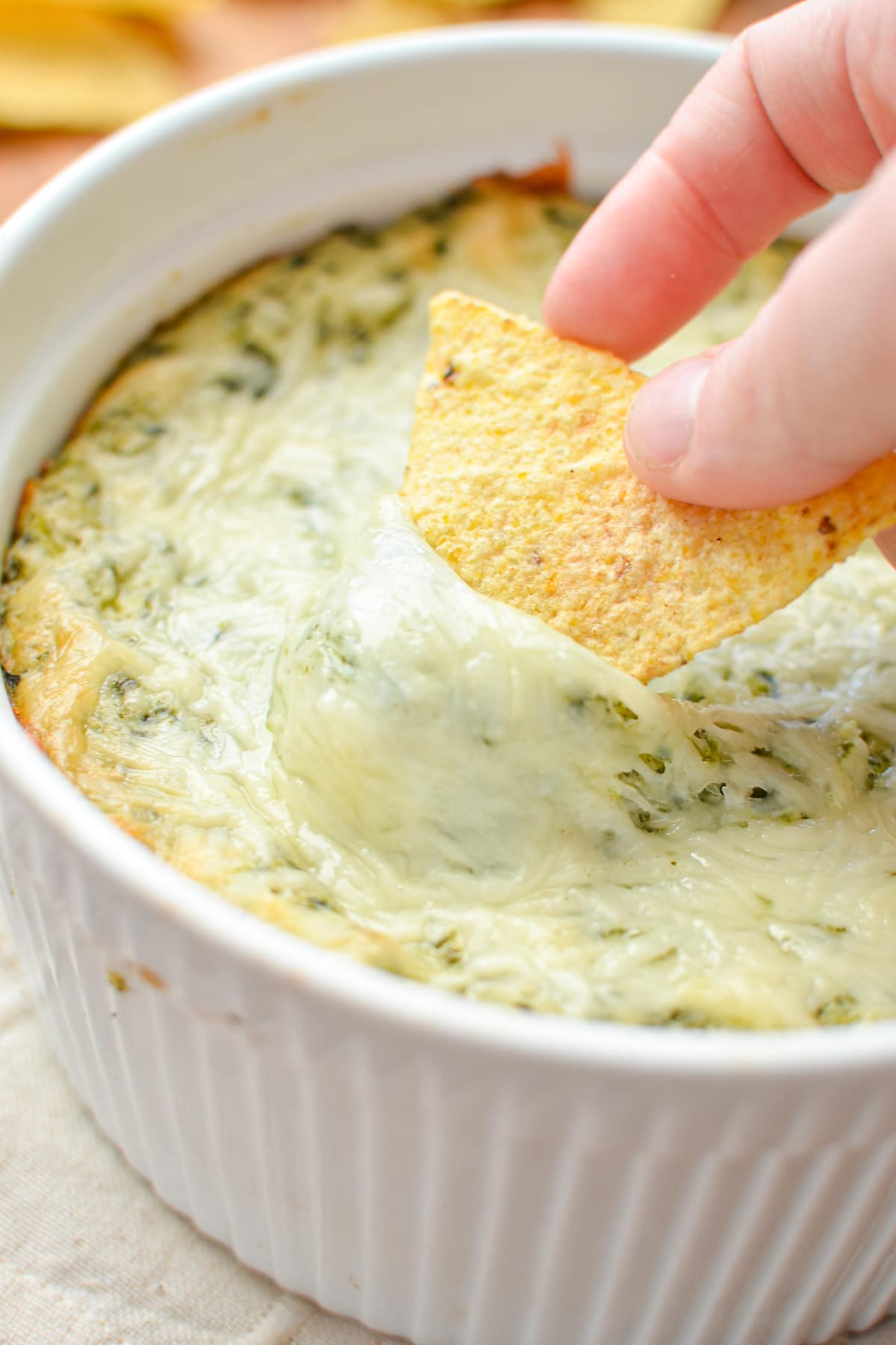 A tortilla chip dipping into a baked dish of spinach artichoke dip.