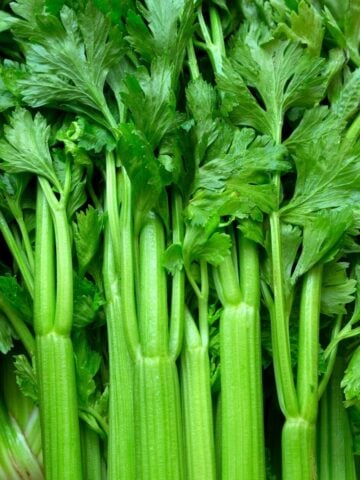 Stalks of celery, stacked together.