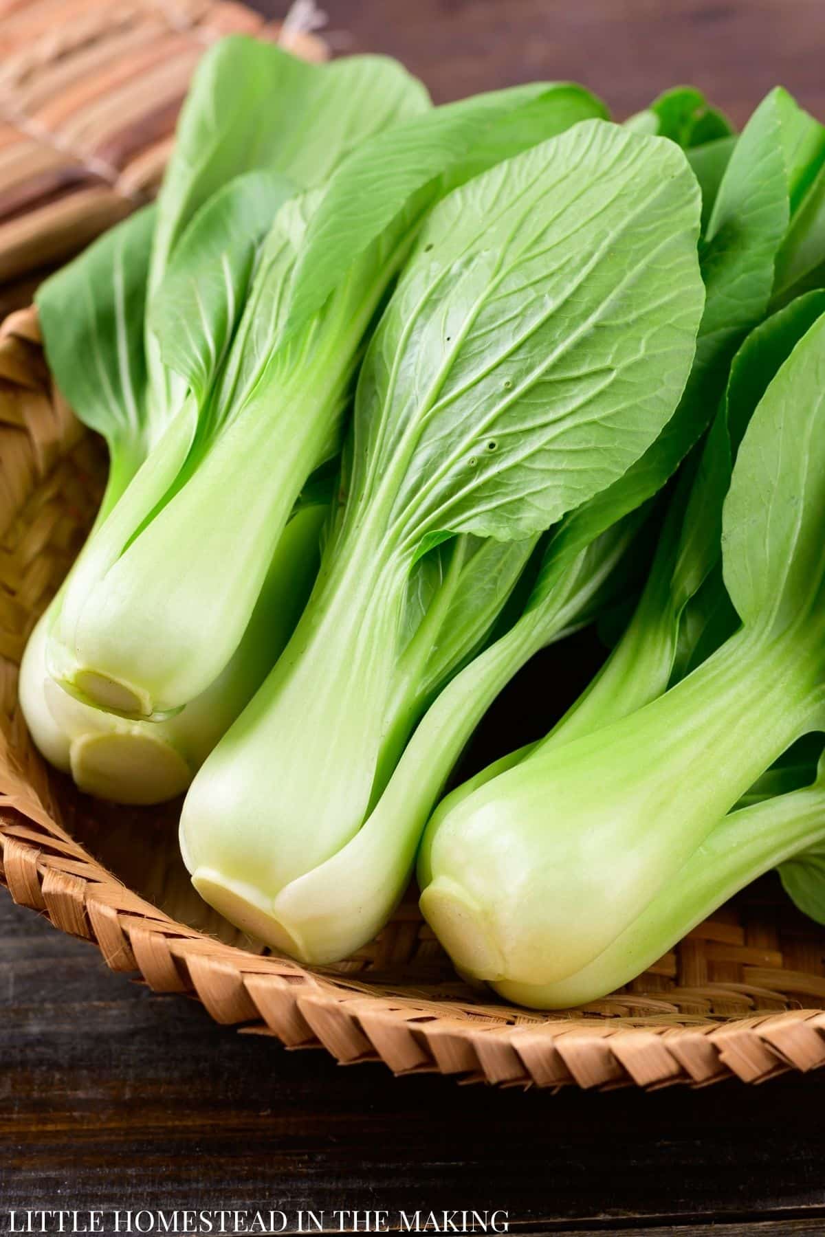 Three heads of bok choy in a basket.