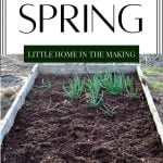 A large raised bed, filled with mulch.