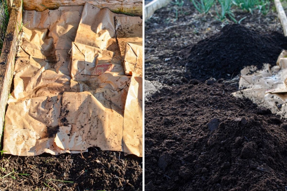 Putting paper bags on top of soil, and then covering it with compost.