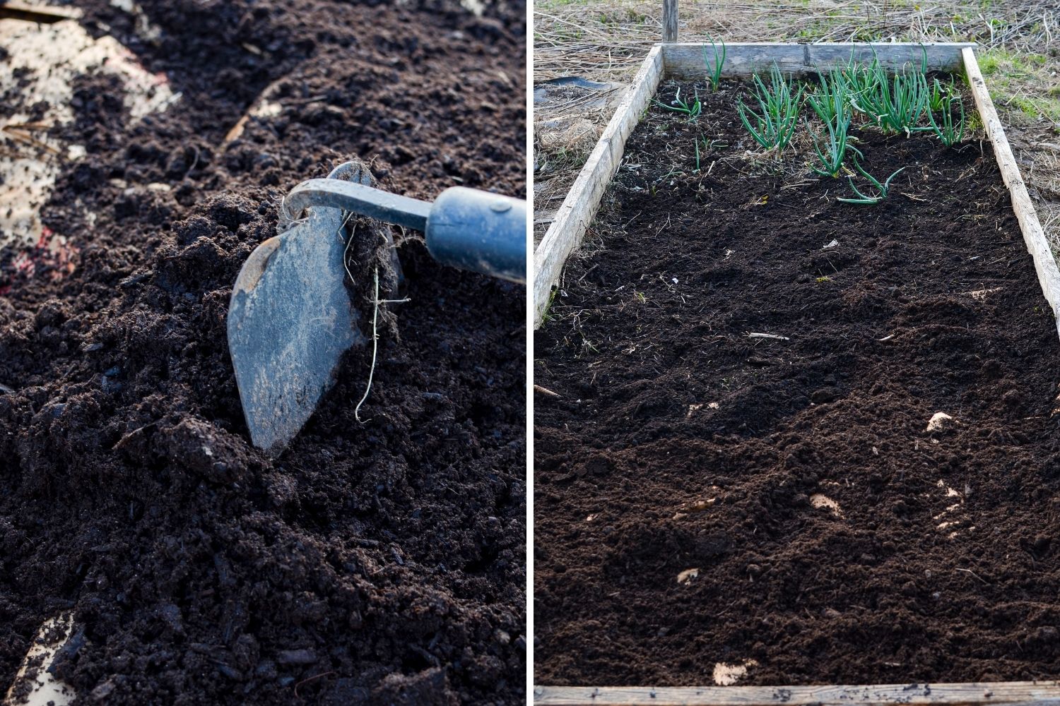 Spreading compost out into a raised garden bed.