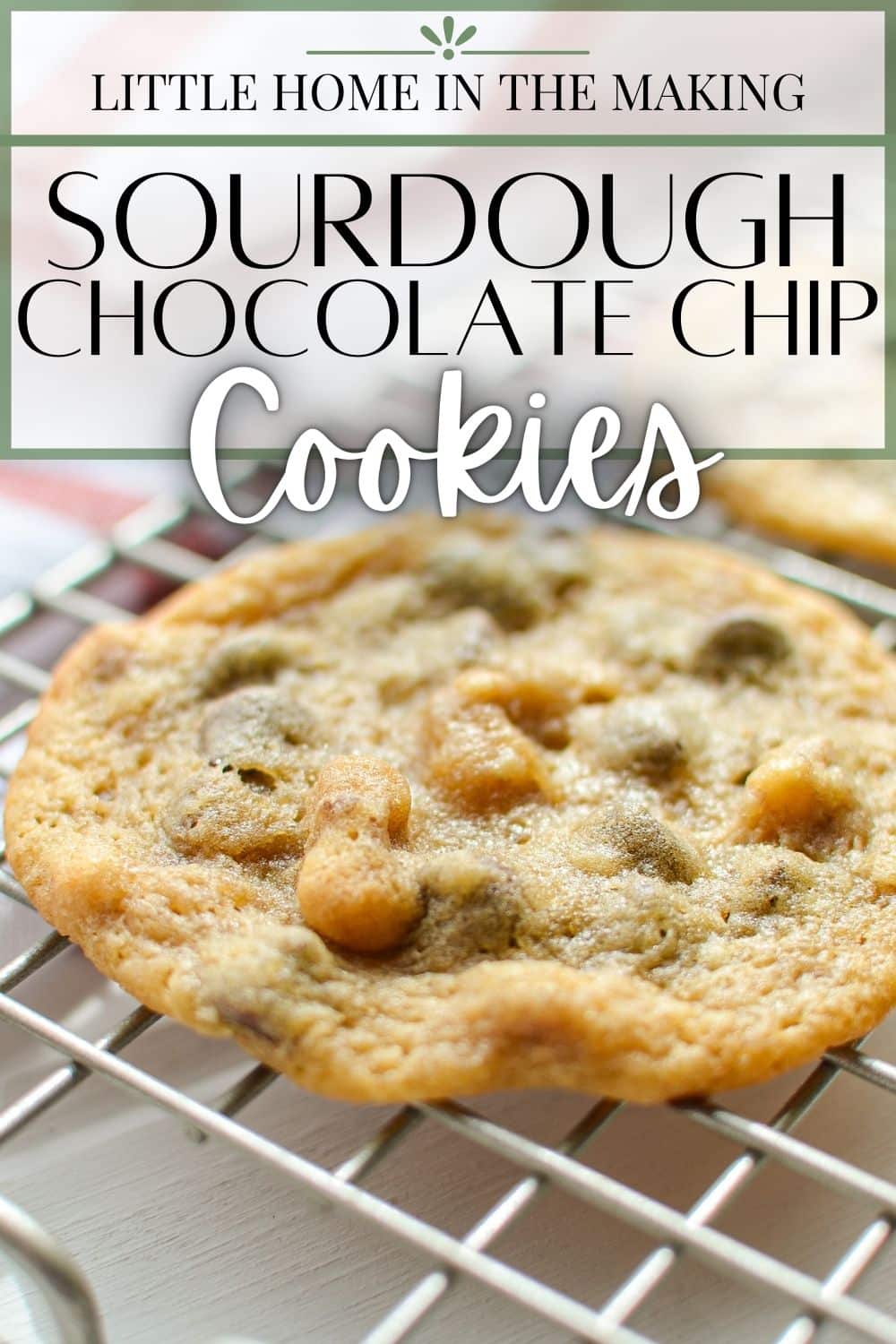 Sourdough Chocolate Chip Cookies - Little Home in the Making