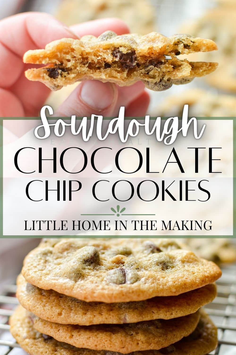 Sourdough Chocolate Chip Cookies - Little Home in the Making