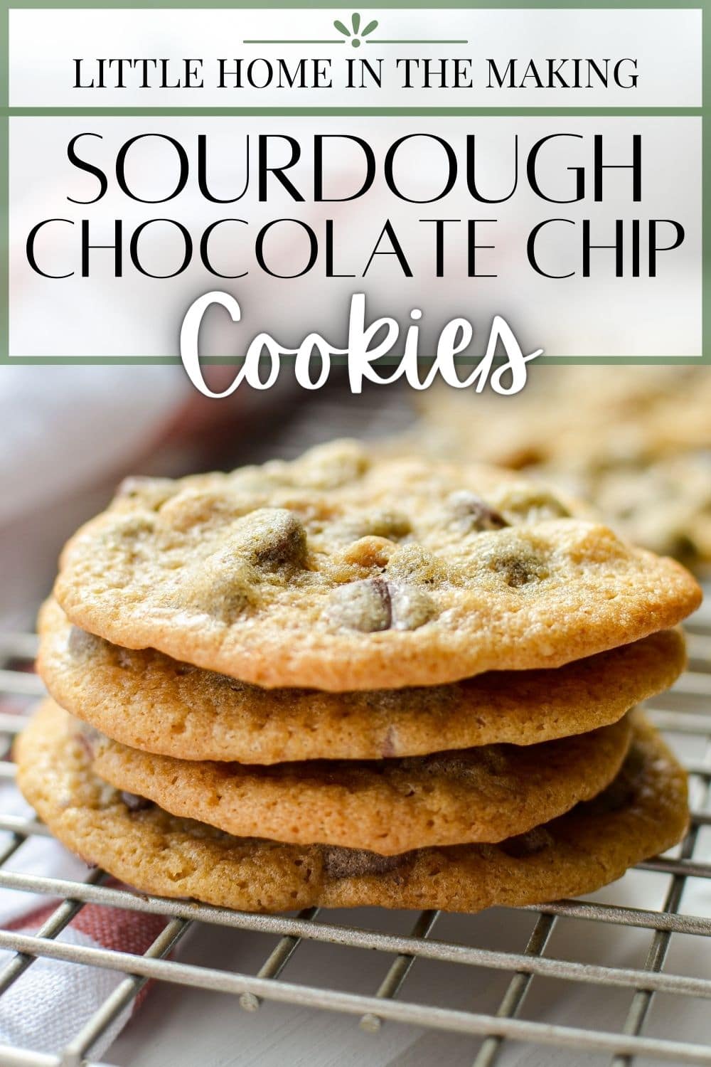 Sourdough Chocolate Chip Cookies - Little Home in the Making
