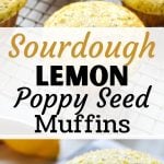 Lemon poppy seed muffins cooling on a rack, with the bottom frame being a lemon muffin on a white plate.