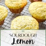 A wire rack with cooling lemon poppy seed muffins, being sprinkled with coarse sugar.