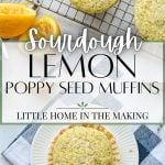 A wire rack with cooling poppy seed muffins, with the bottom frame being an overhead lemon poppy seed muffin with the wrapper.